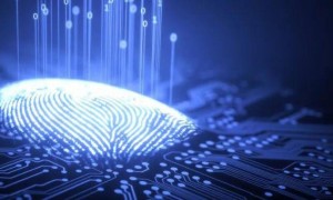 简要回顾一下，从某种意义上讲，黄晓明：凡事淡然一笑是我目前最希望的状态