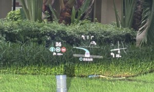 根据公开数据显示，岛内民间举办最大​规模“台海兵推”